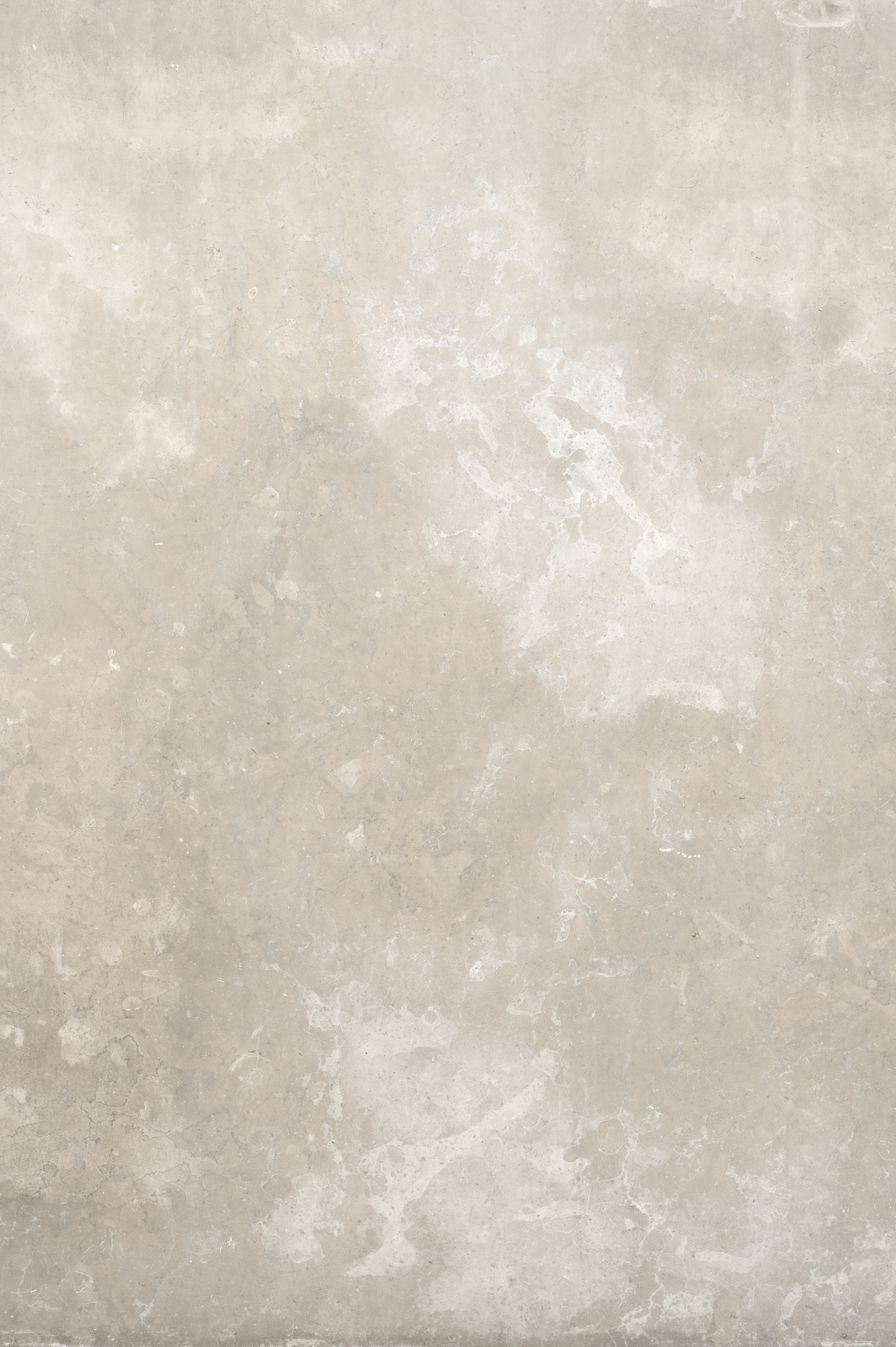 Spring Shadow Plaster.jpg