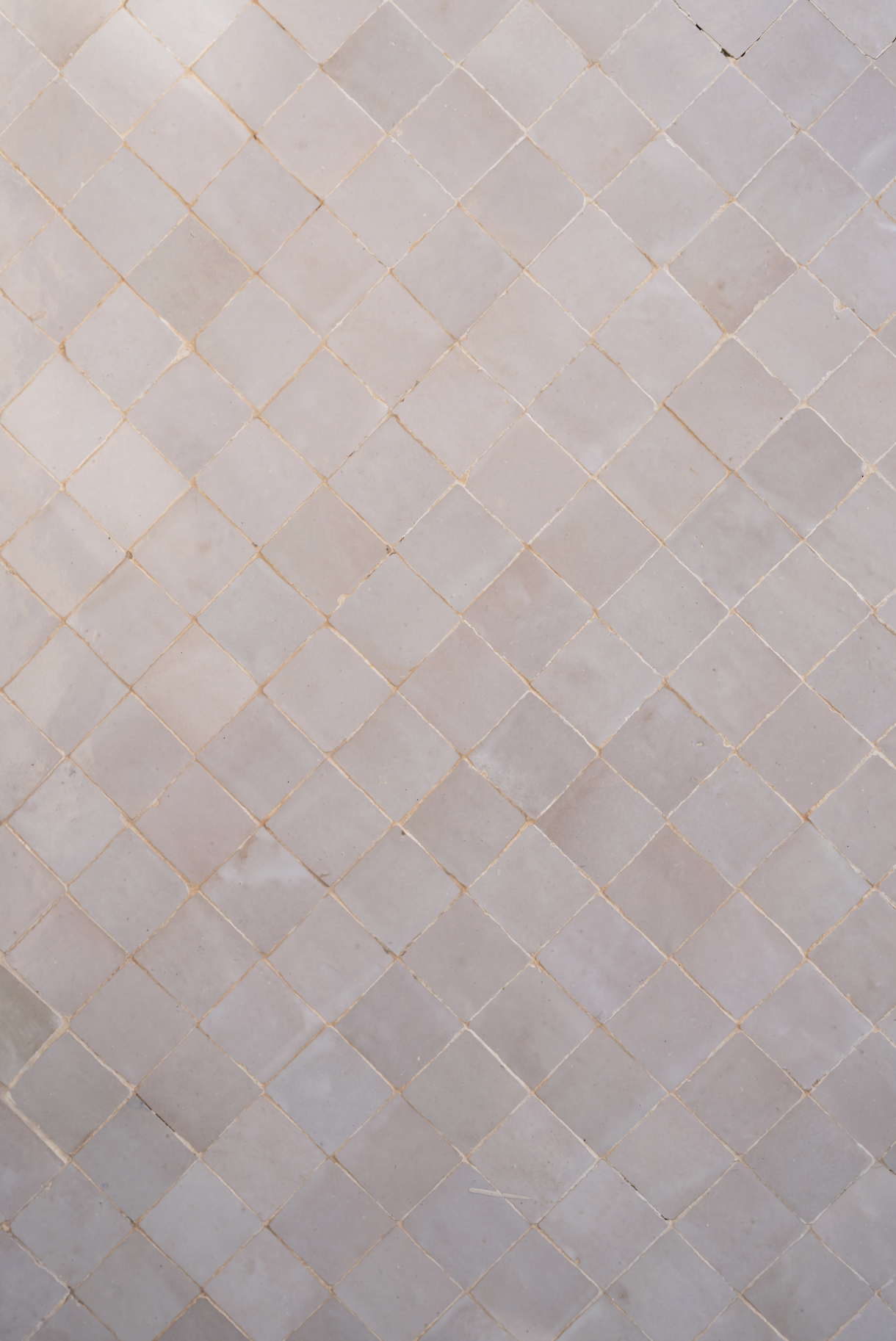 Rose+Pink+Tile+backdrop.jpg.png