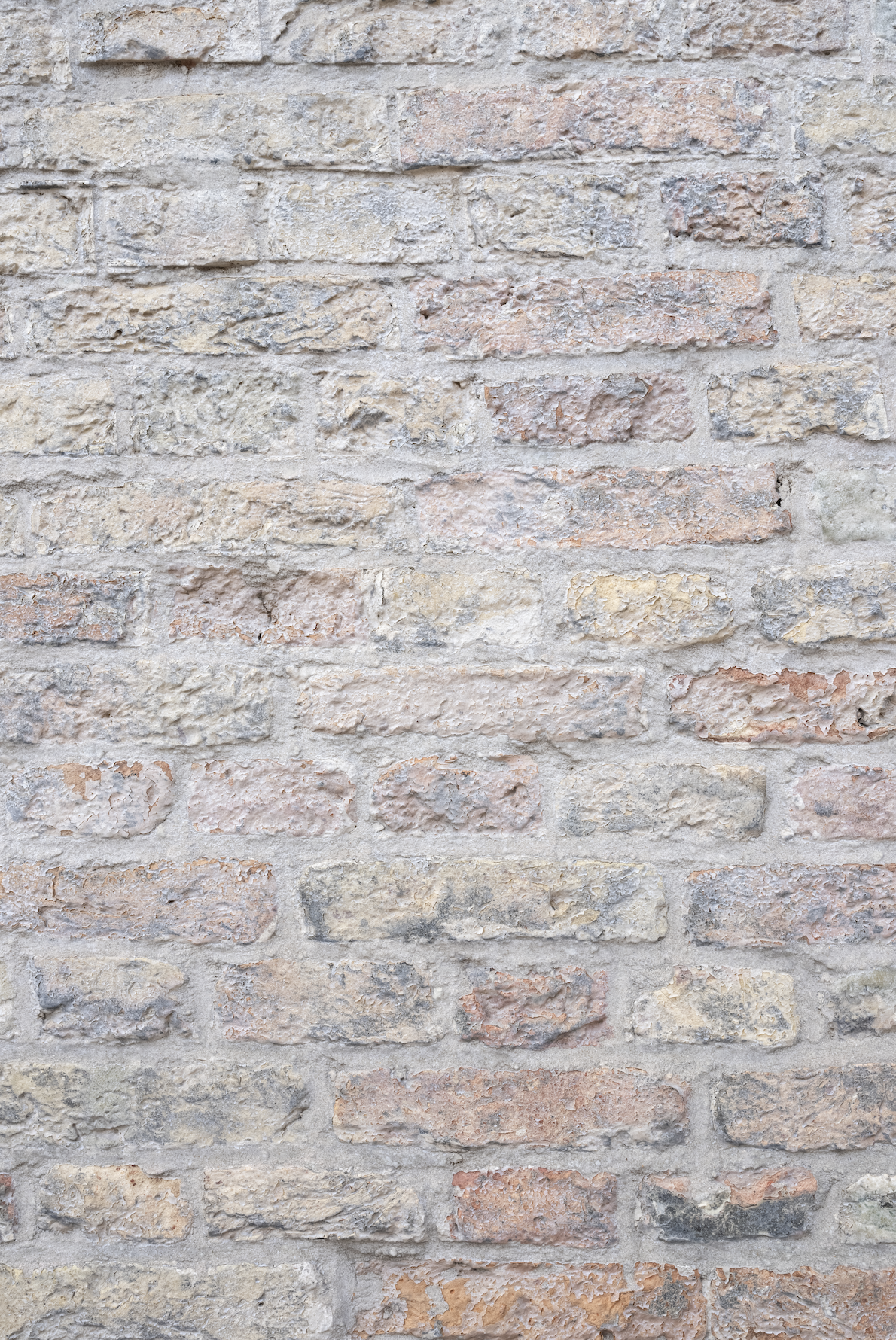Pastel Brick backdrop.png
