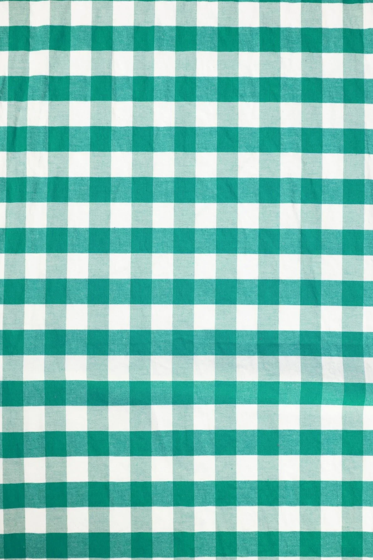 Green+gingham+backdrop.jpg.webp