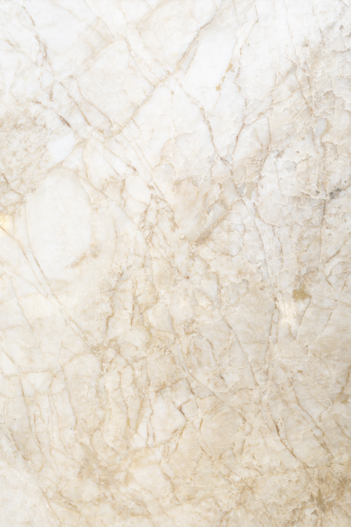 Caramel marble backdrop.png