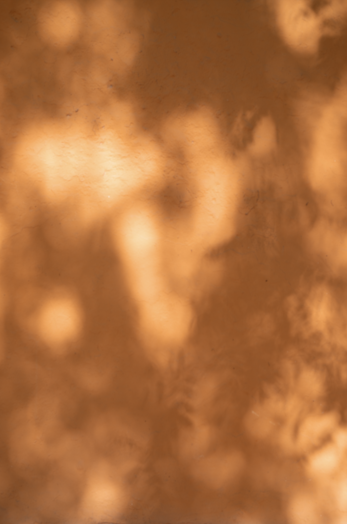 orange shadow backdrop.png
