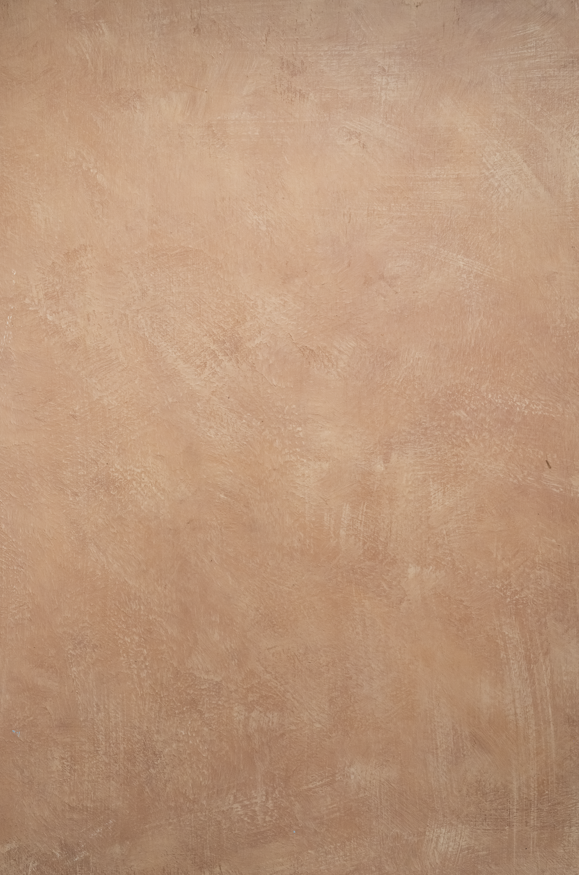 Dusty Peach backdrop.png