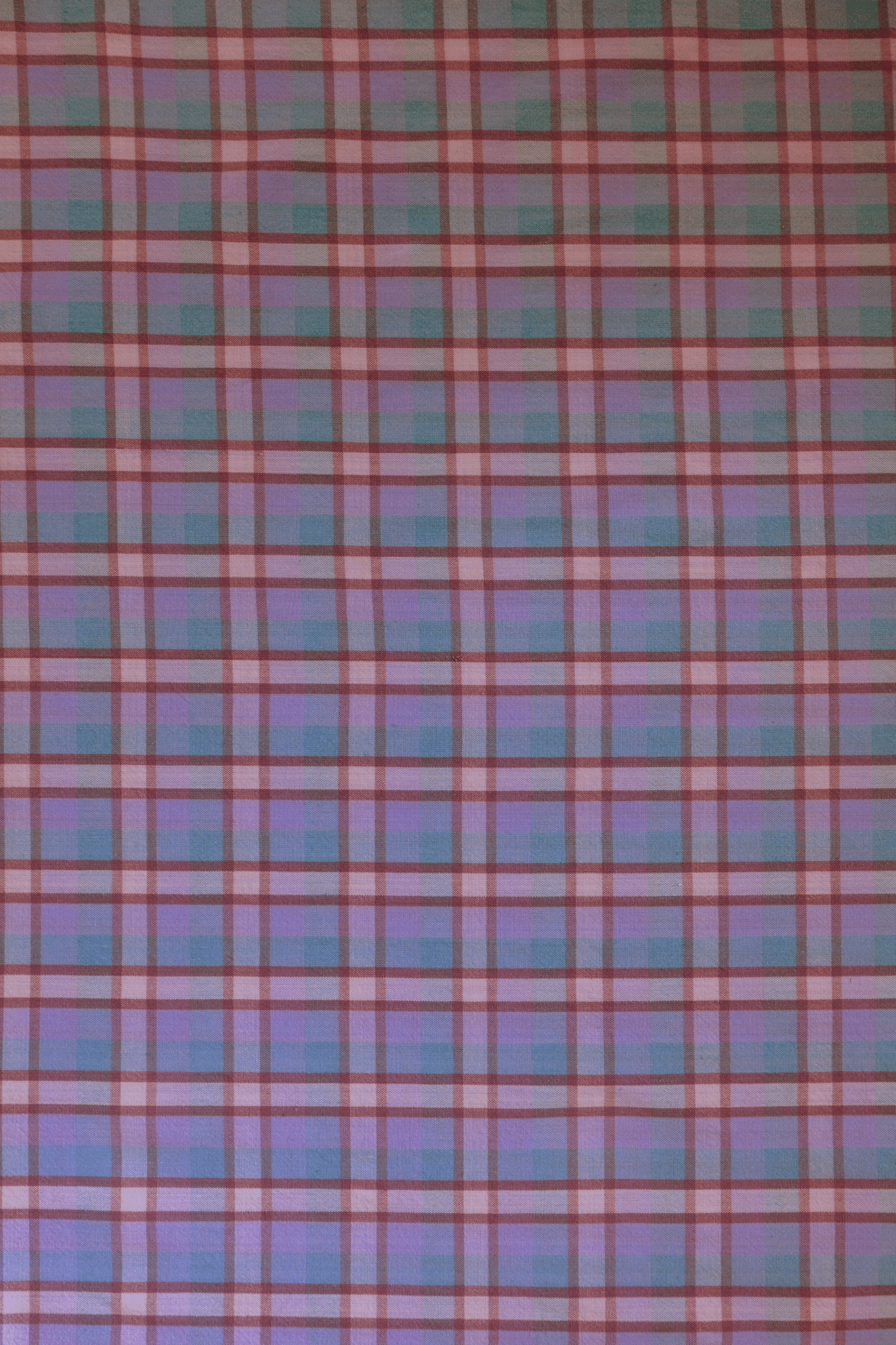 Festive Check.png