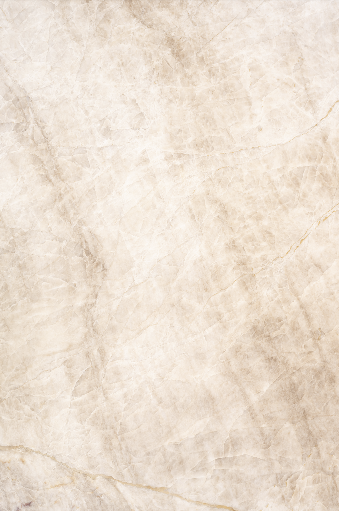 Caramel Marble Photo Backdrop.png