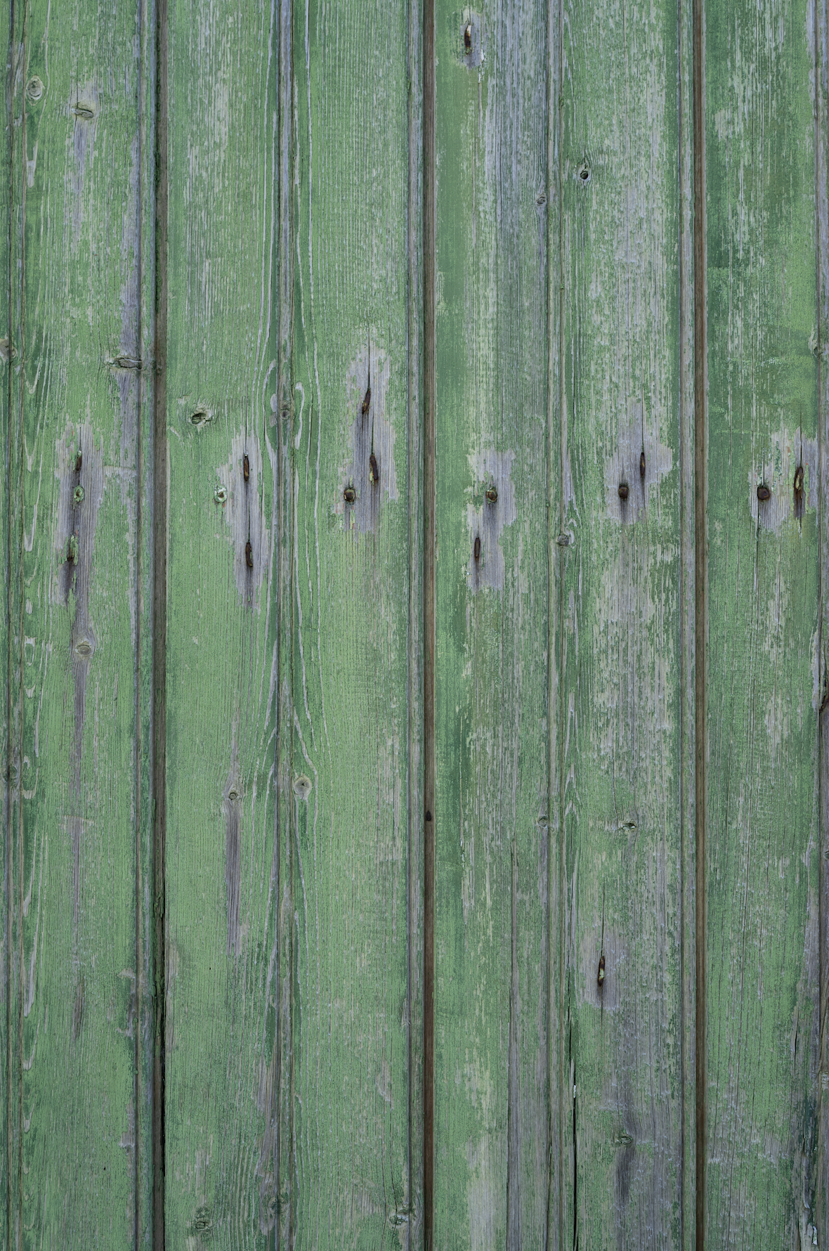 French green plank backdrop.png