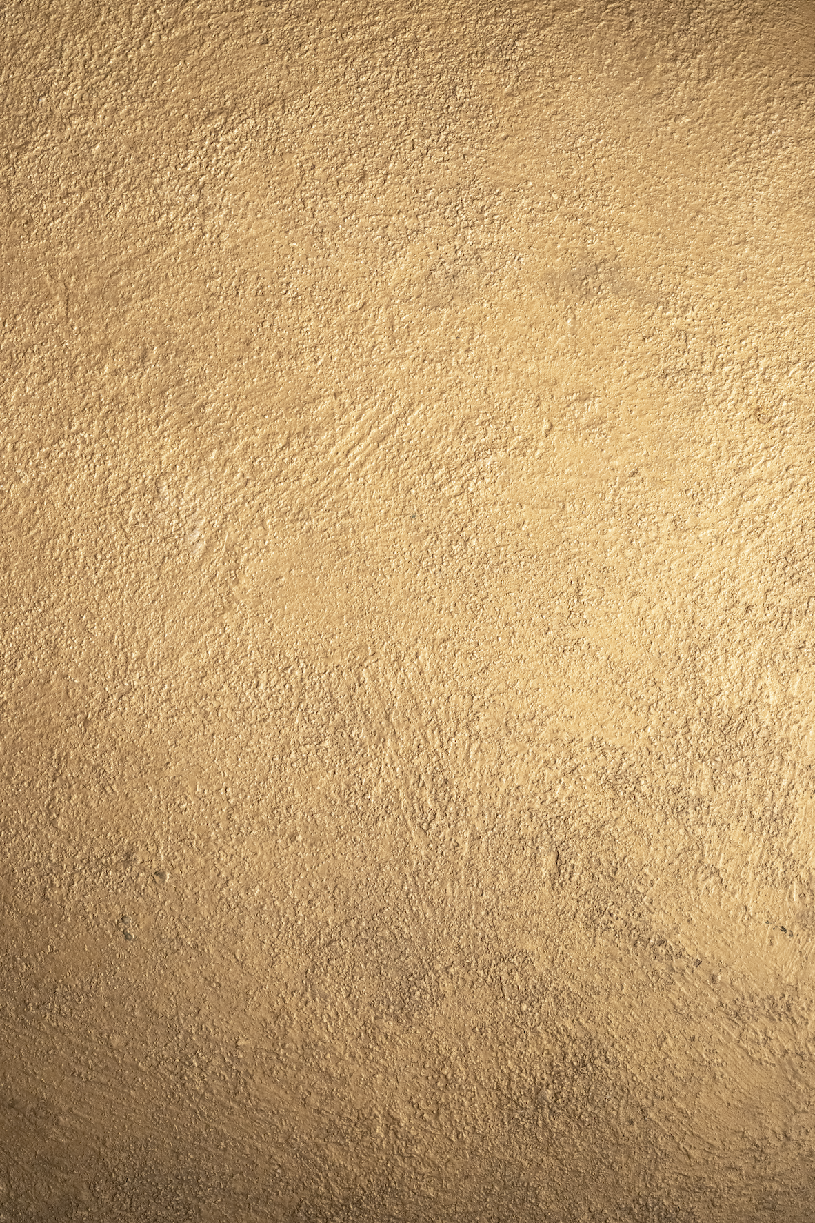 Golden photo backdrop.png