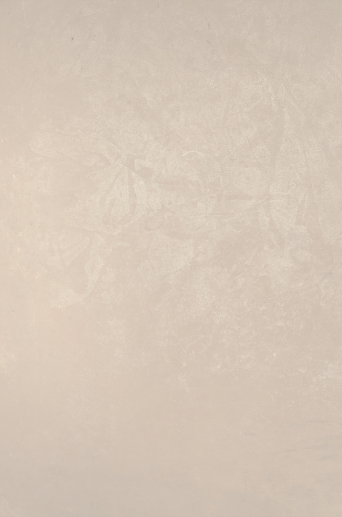 Soft plaster tone backdrop.png