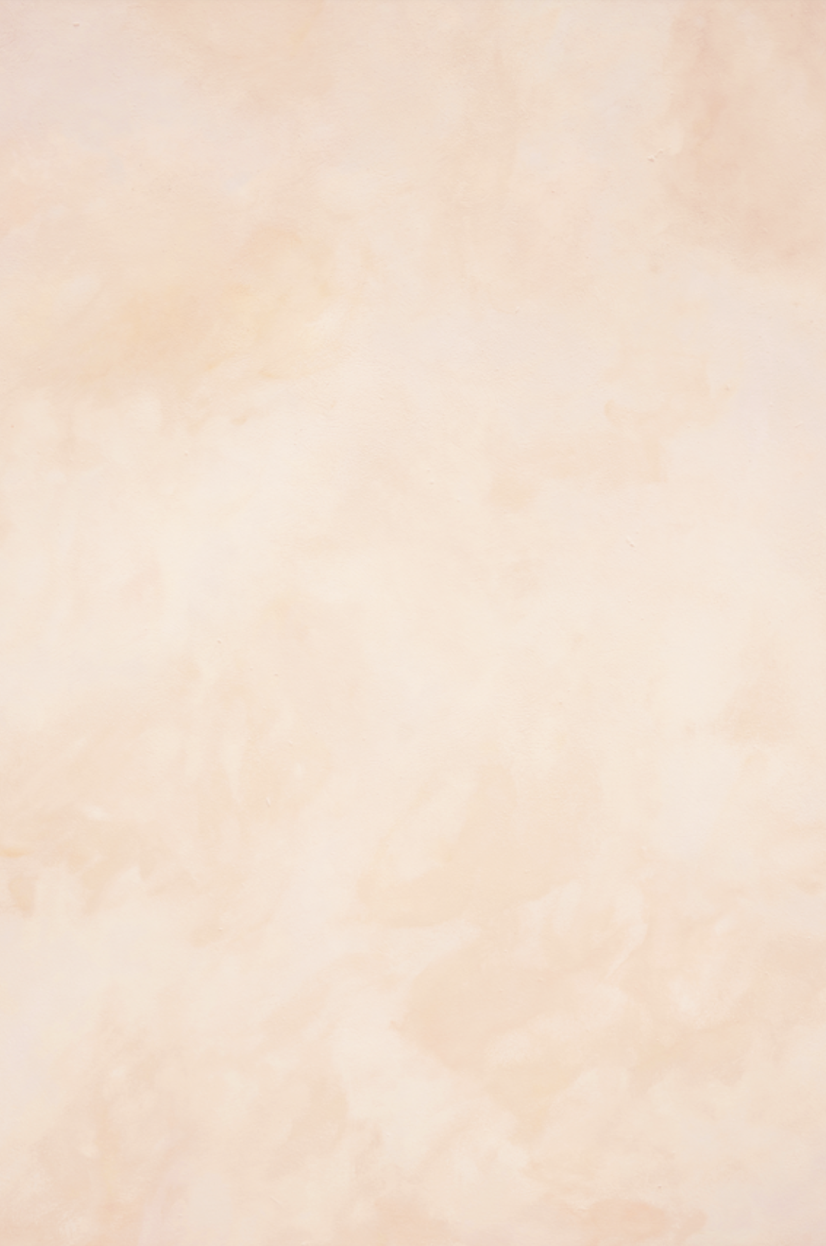 Peach Linen backdrop.png