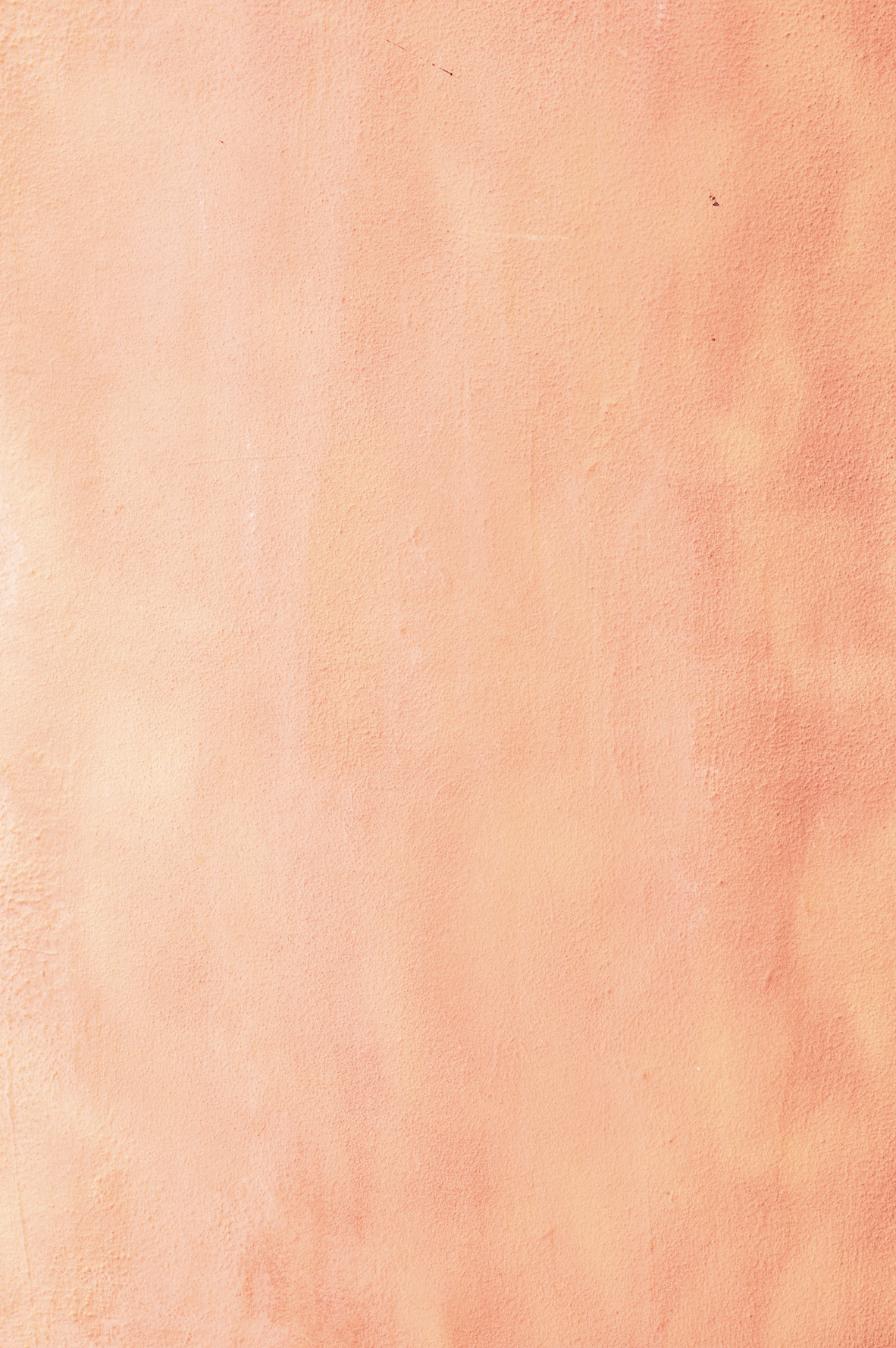 painted peach backdrop.png