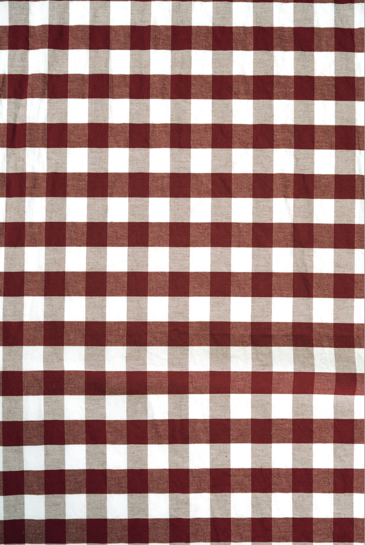 Seasonal GINGHAM Backdrops - 4 designs