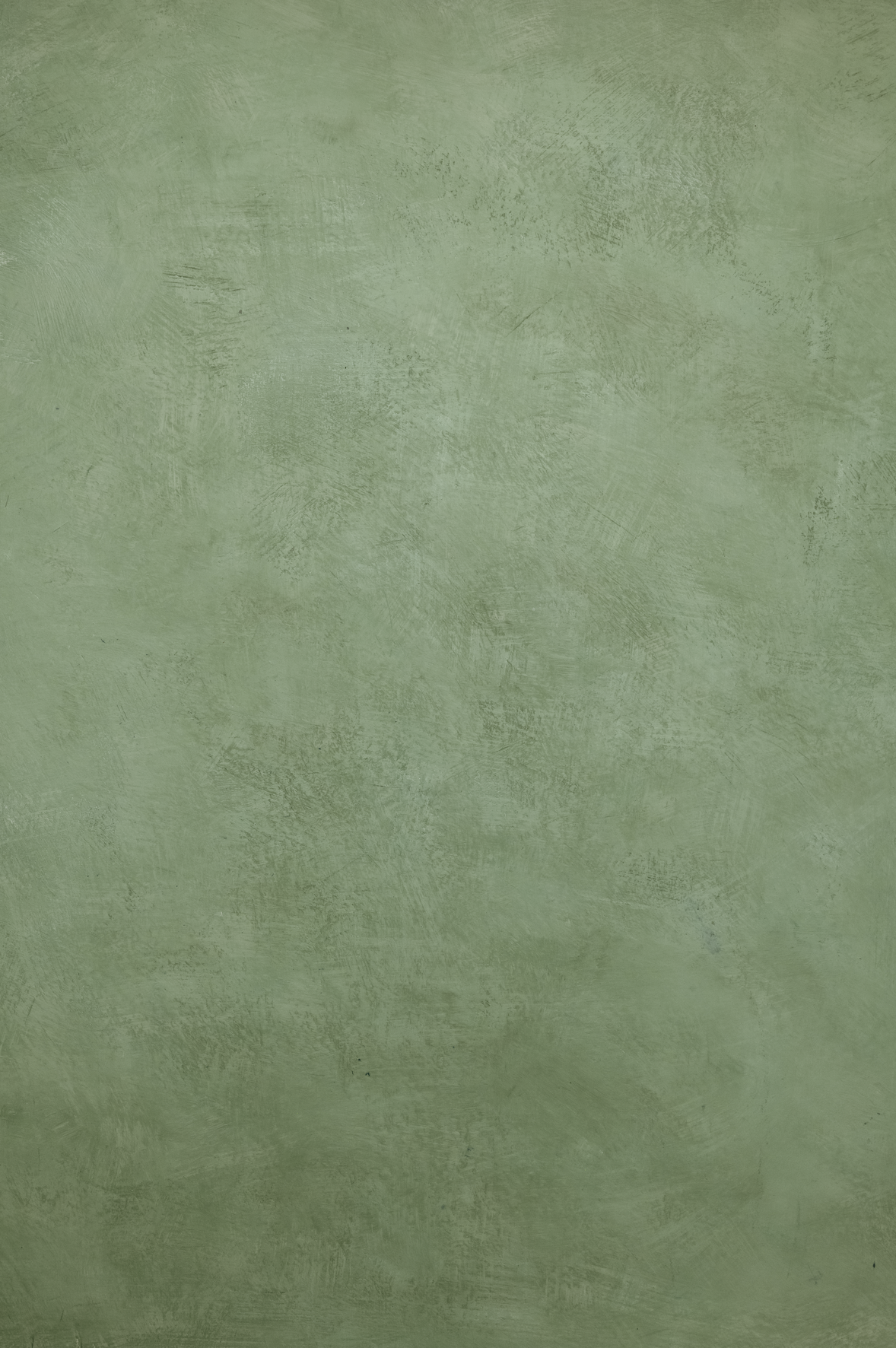 Fern green backdrop.png
