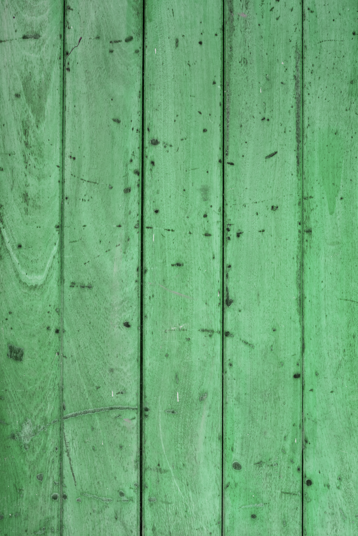 Warm Green Med Wood.png