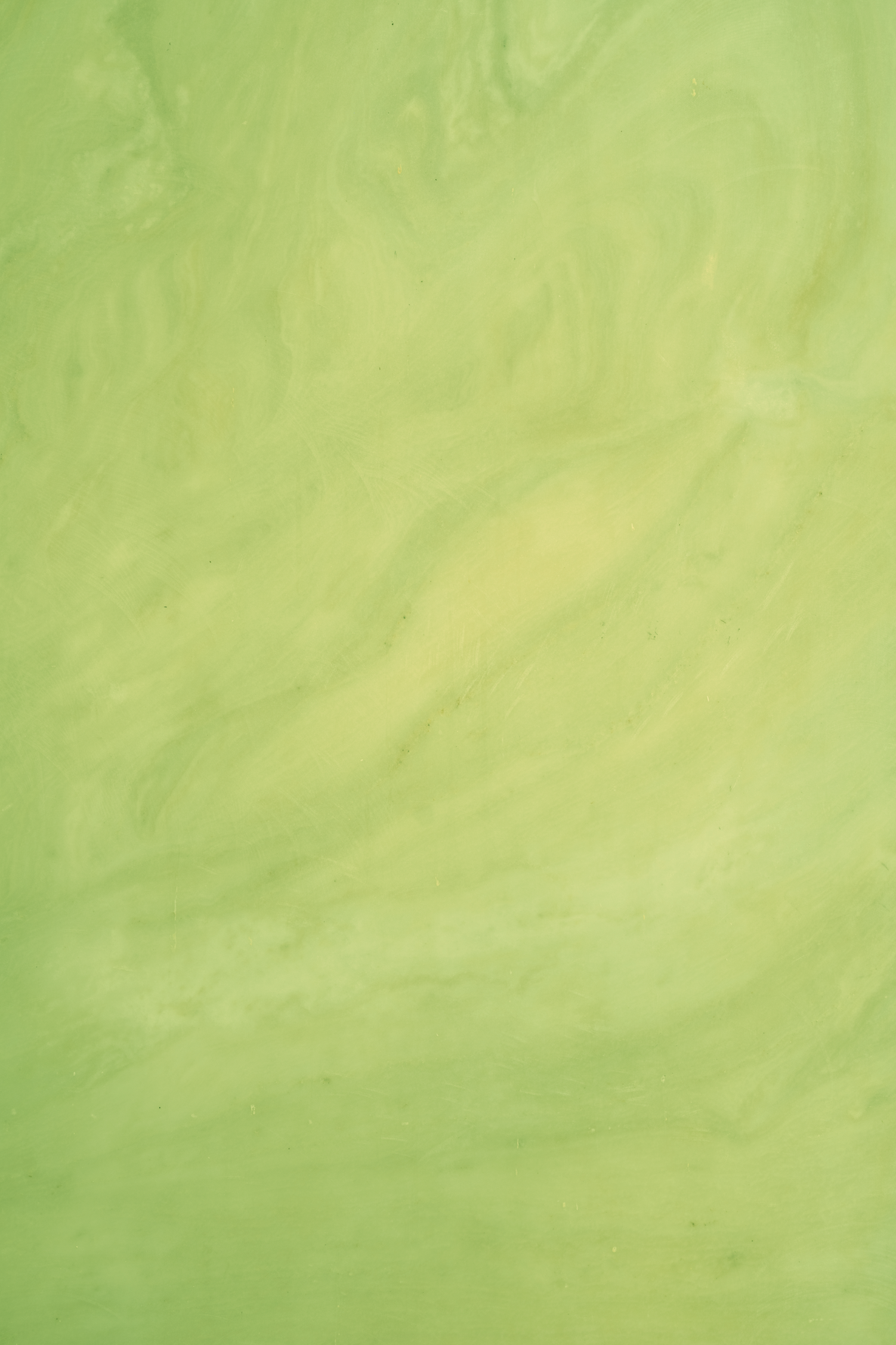 Avocado backdrop.png