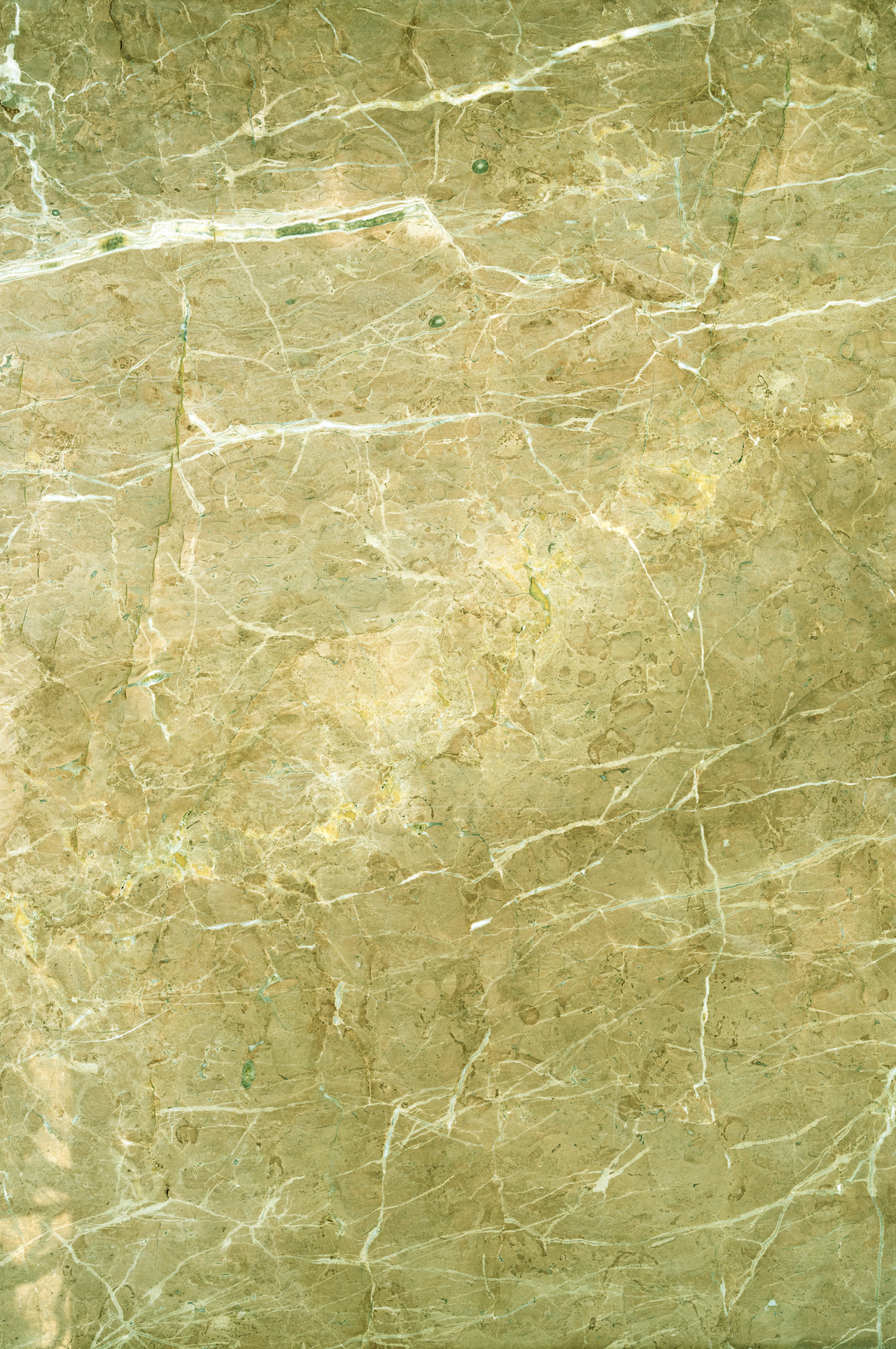 Olive marble.png