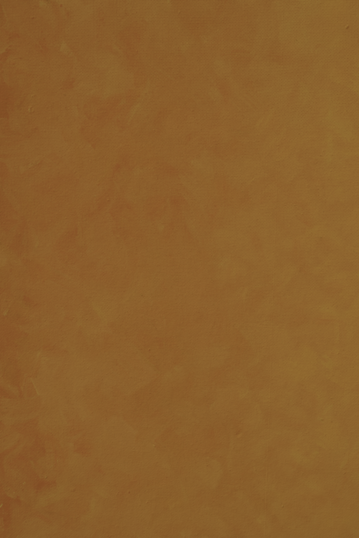 Spice colour backdrop.png