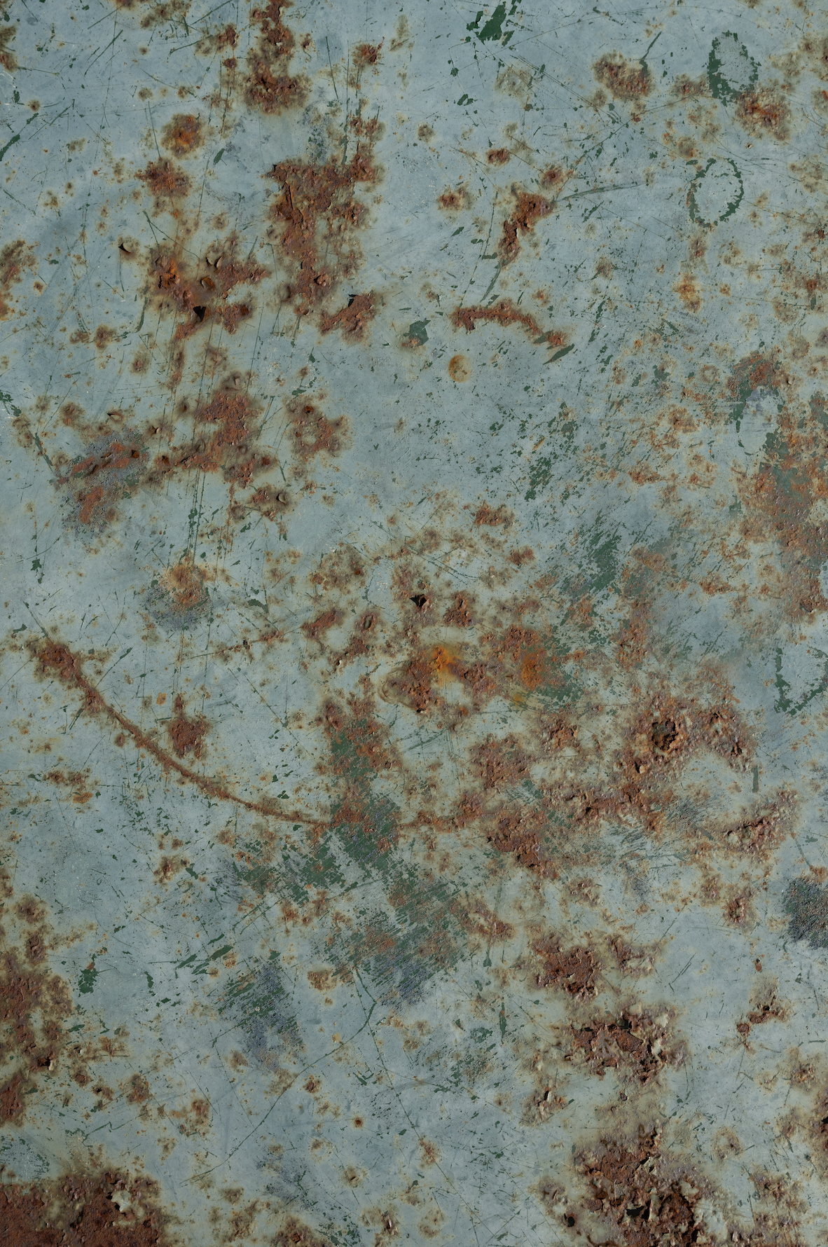SAMPLE Backdrop - Bloom Rust - 1 NEW IN!
