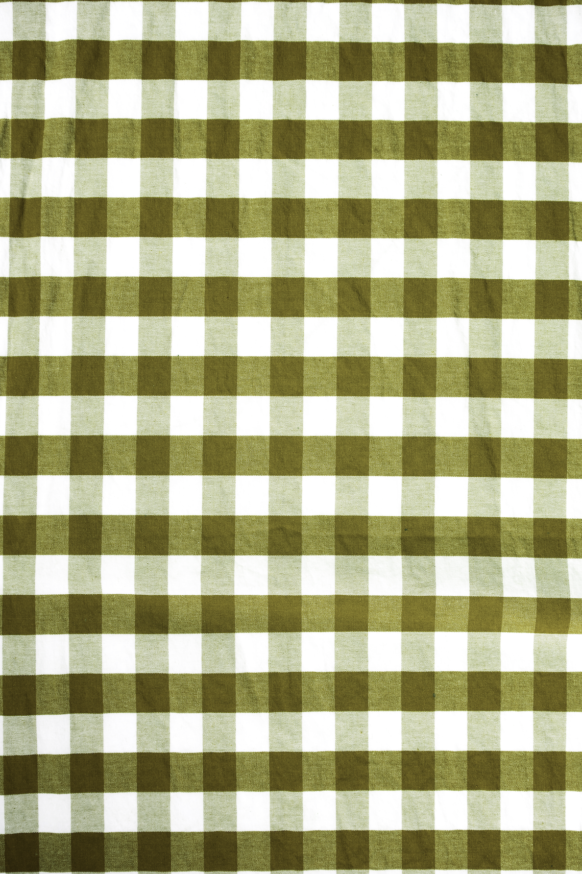 Seasonal GINGHAM Backdrops - 4 designs