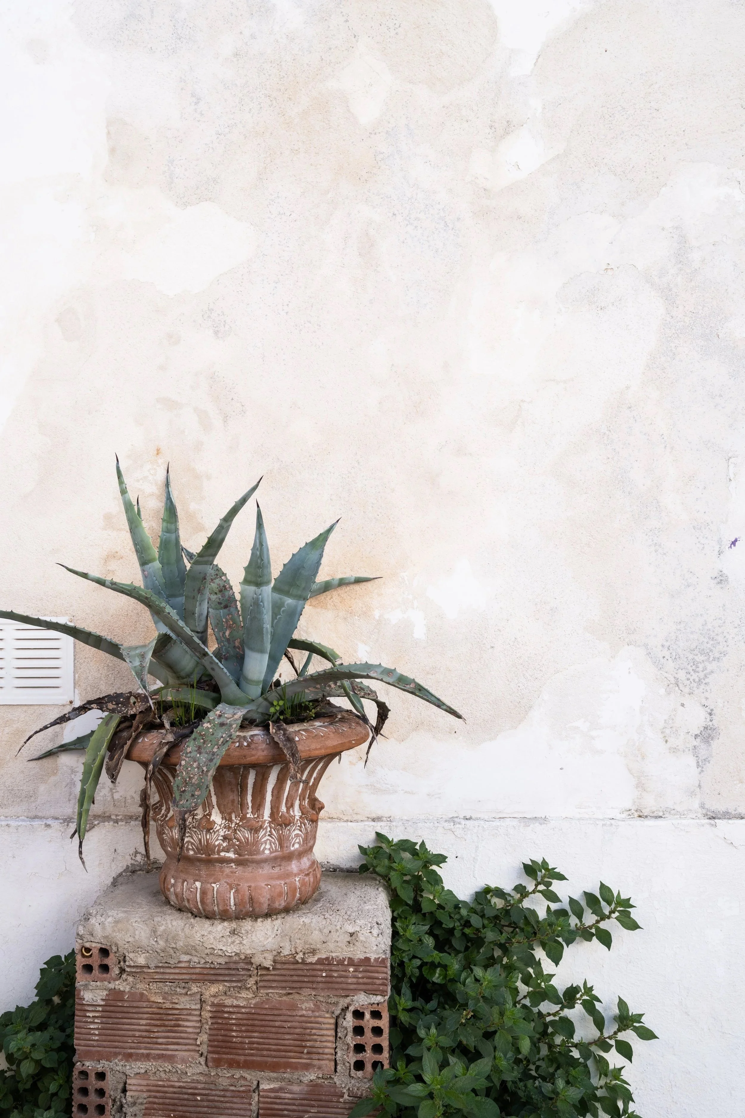 cream+stone+wall+backdrop.jpg