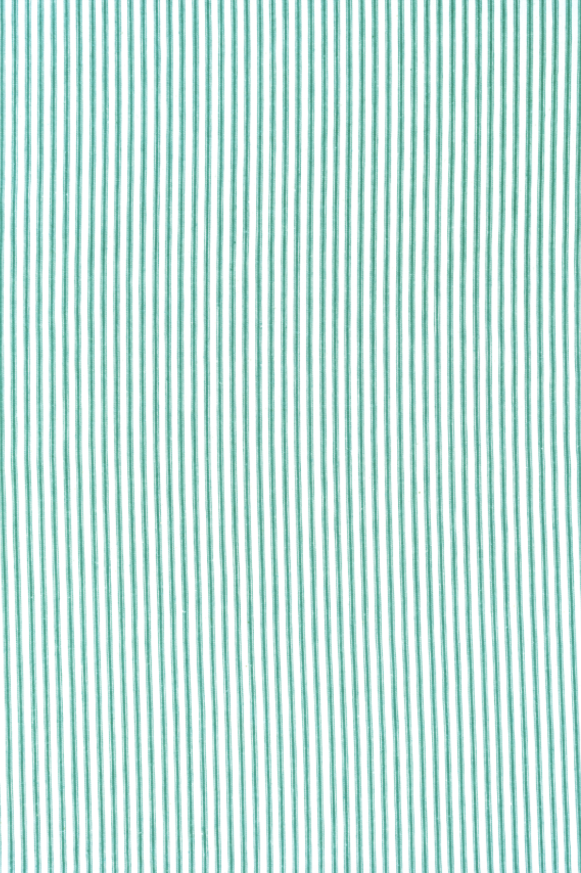 Green+stripe+backdrop.png.webp