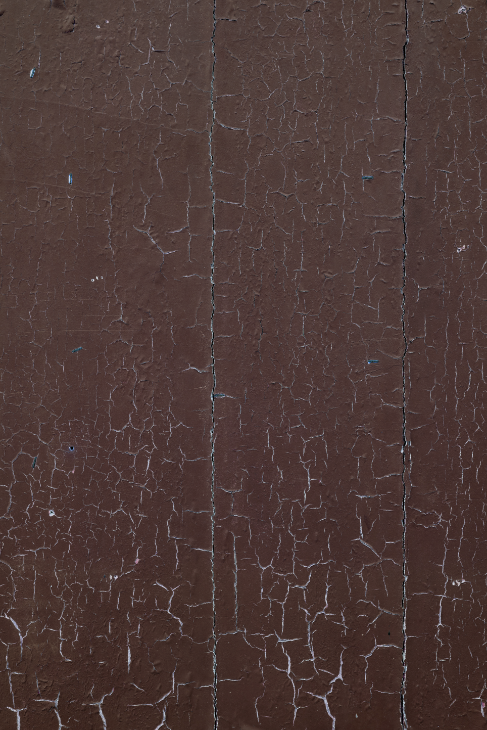 SAMPLE Backdrop - Bark - 1 LEFT!
