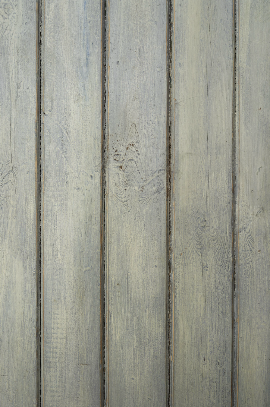 Autumn green wood backrop.png