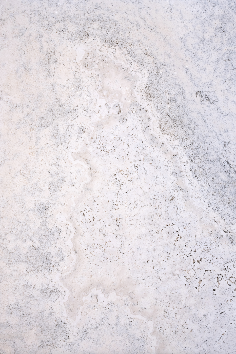 Oyster toned backdrop.png