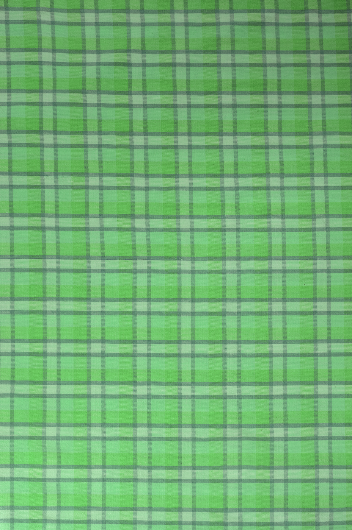 SAMPLE Backdrop - Vintage Pea Check - 1 New in!