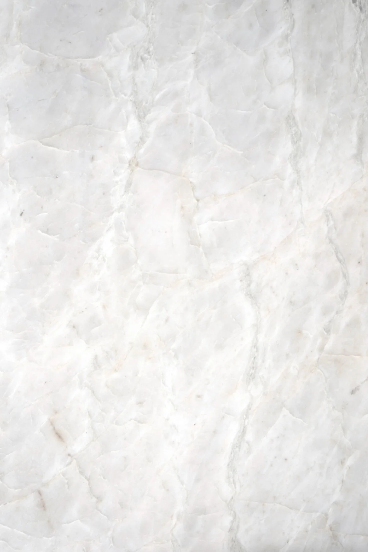 Onyx+backdrop.jpg