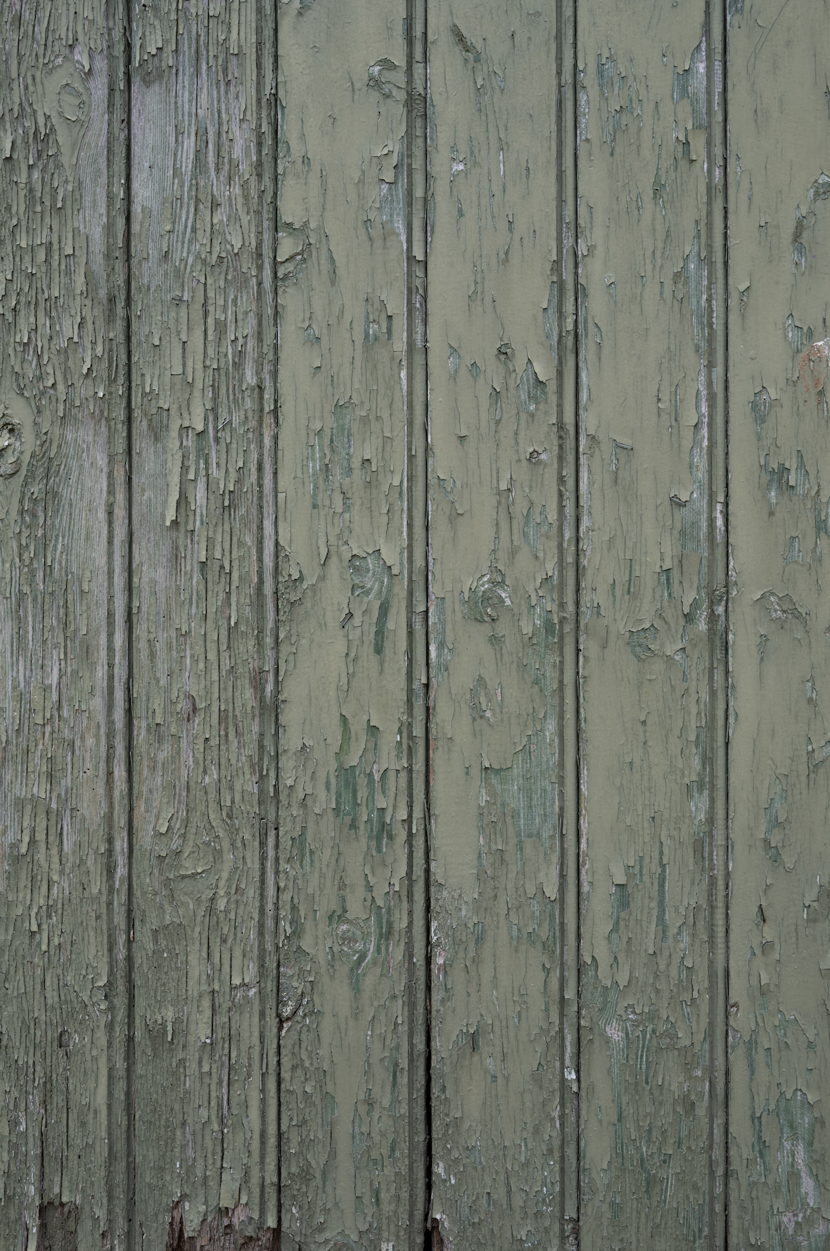 Green Wood backdrop.png