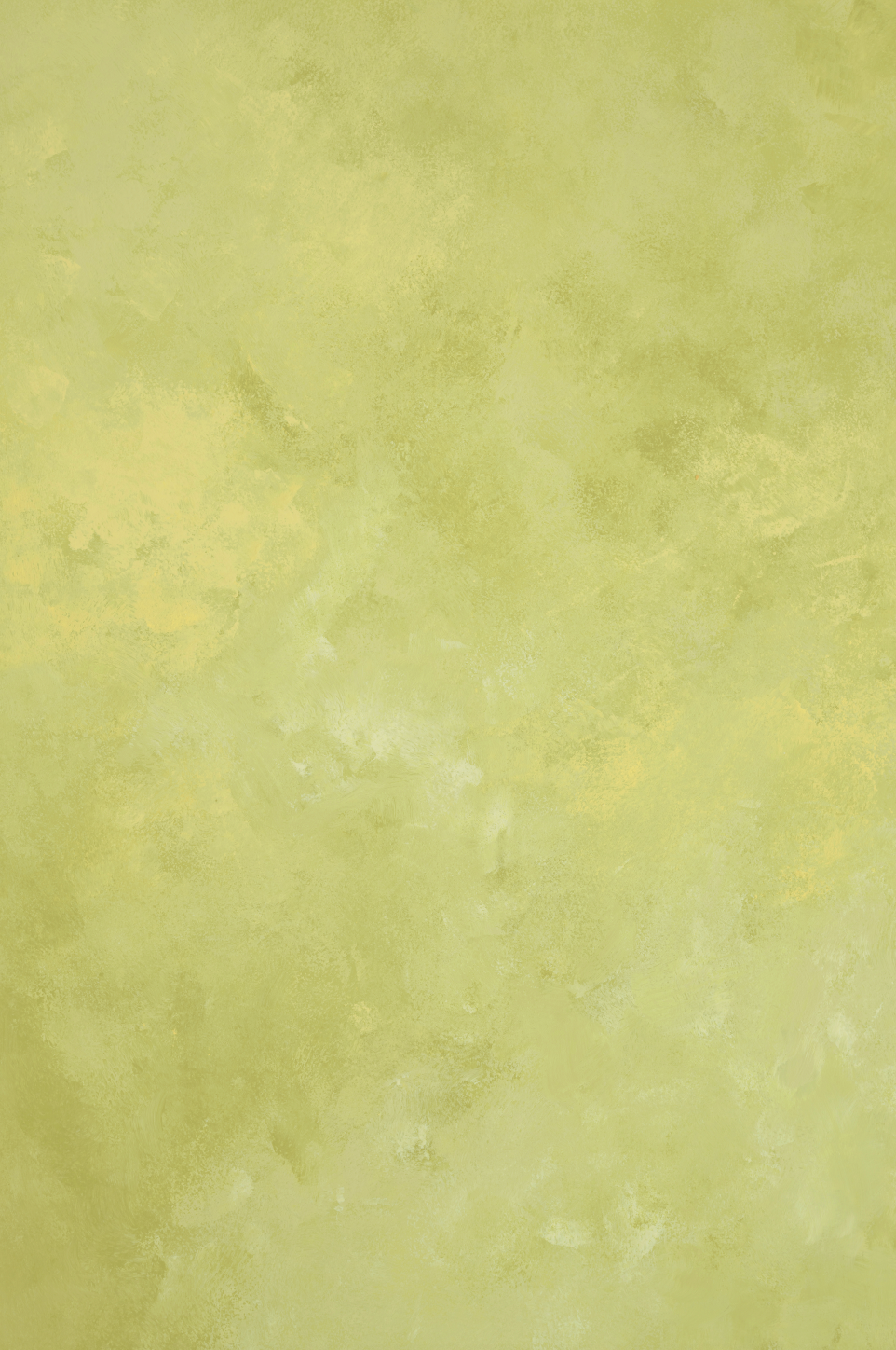 Painted Avocado backdrop.png
