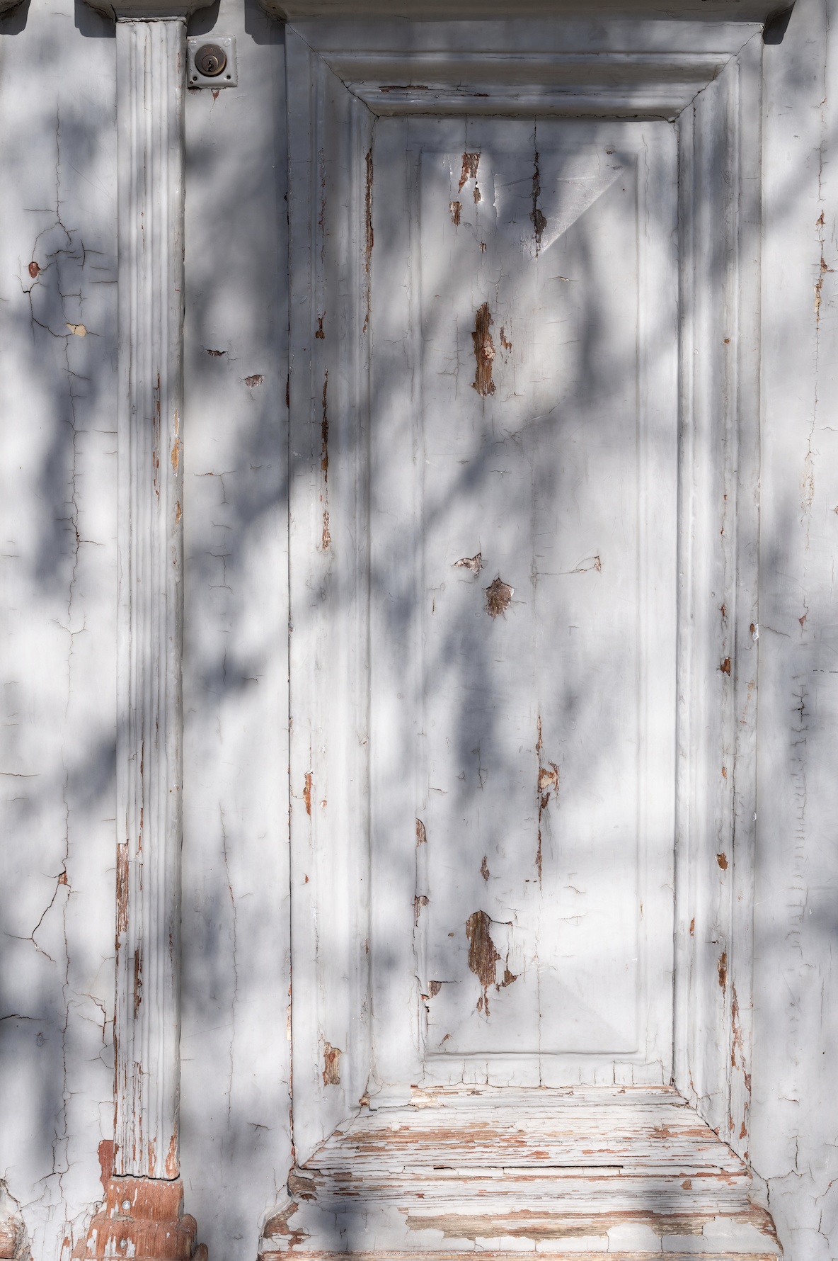 Door backdrop.png