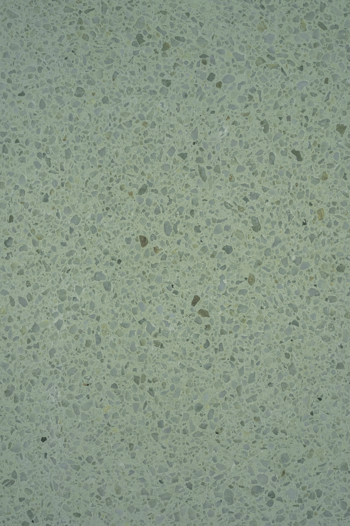 Green Terrazzo backdrop.png