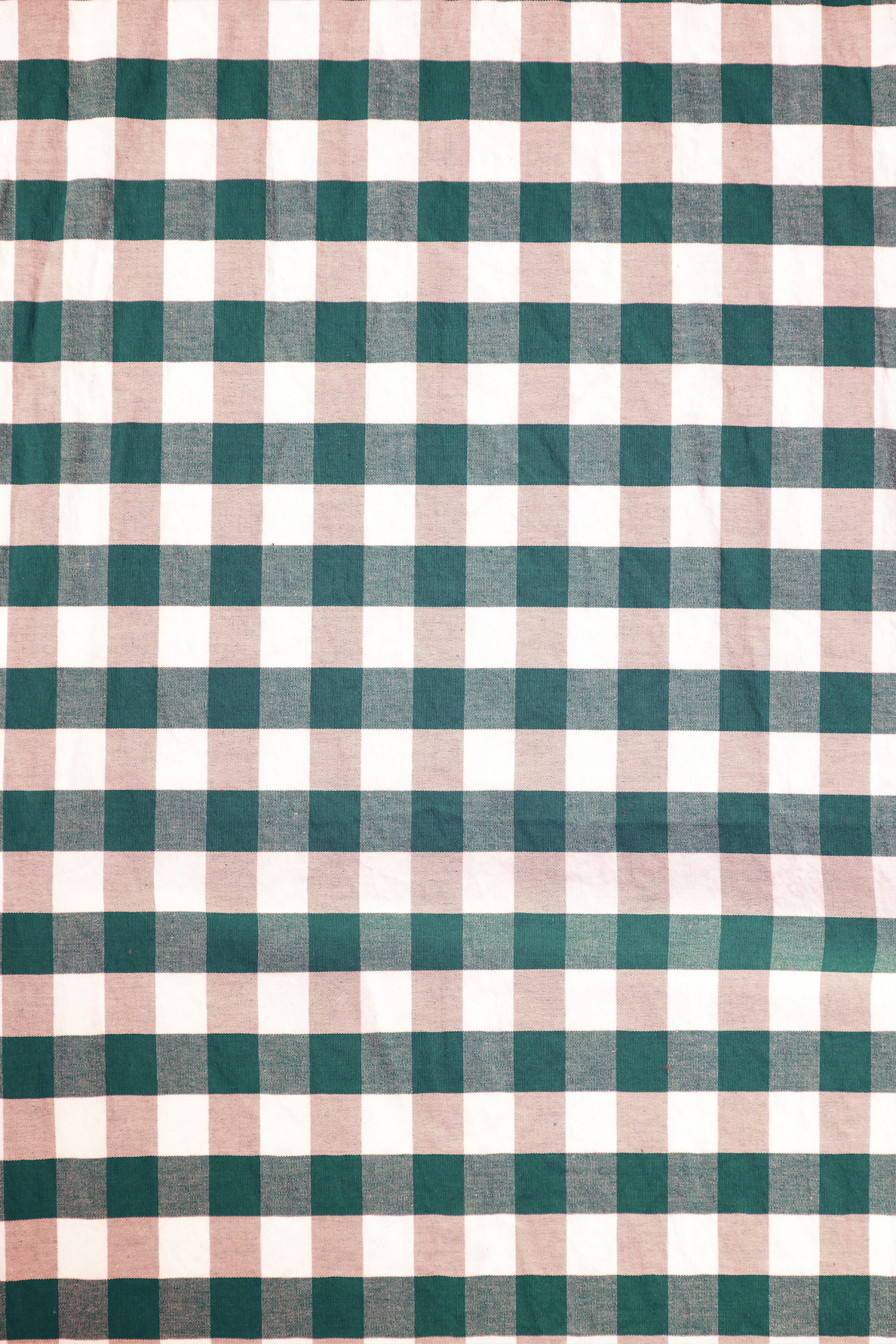 peach and green gingham backdrop.png