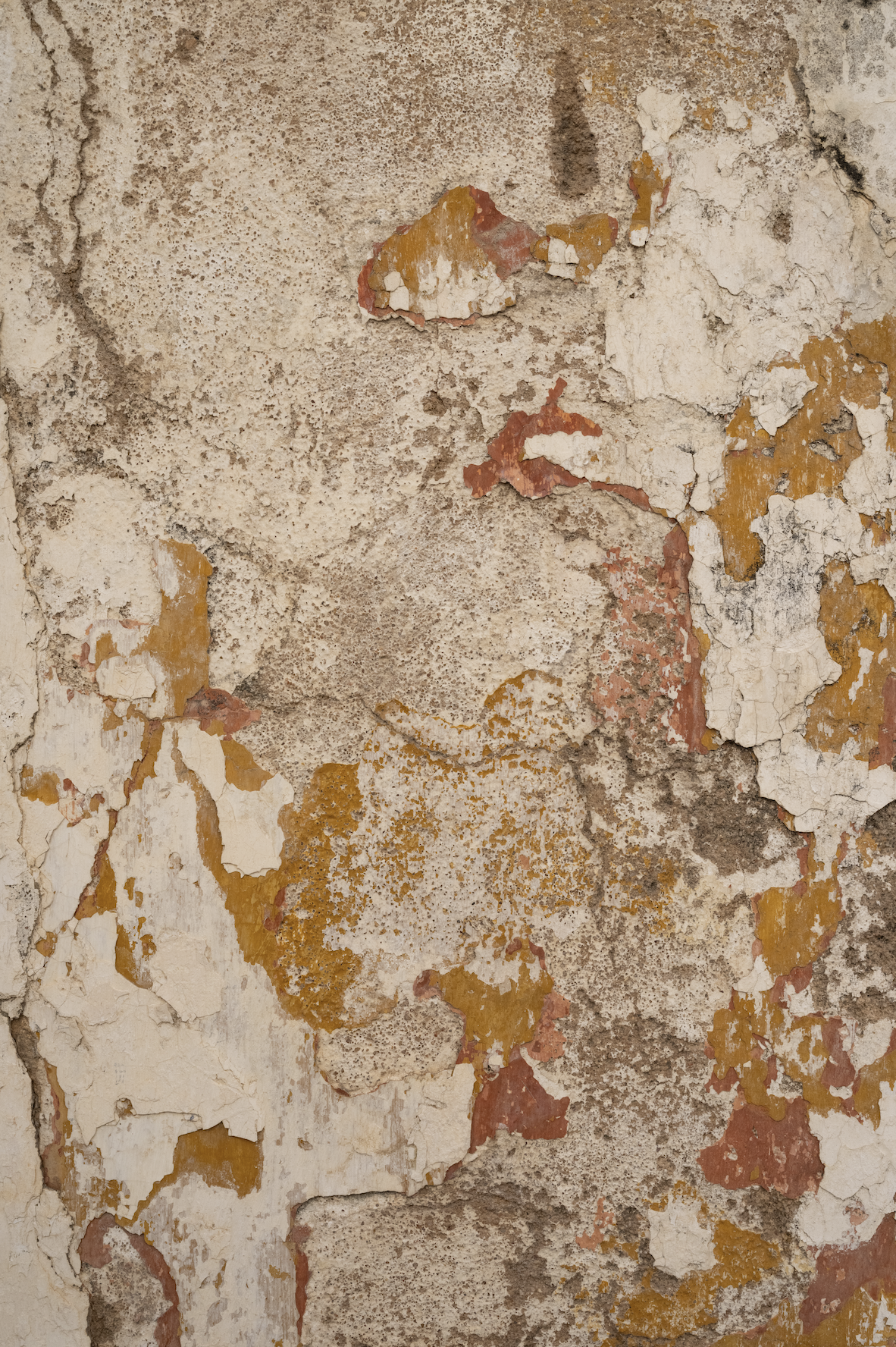 Rugged Wall.png