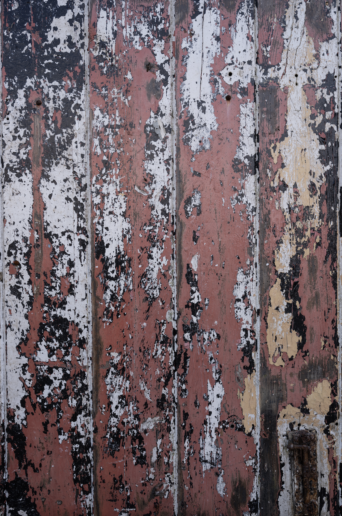 Scrappy Wood backdrop.png