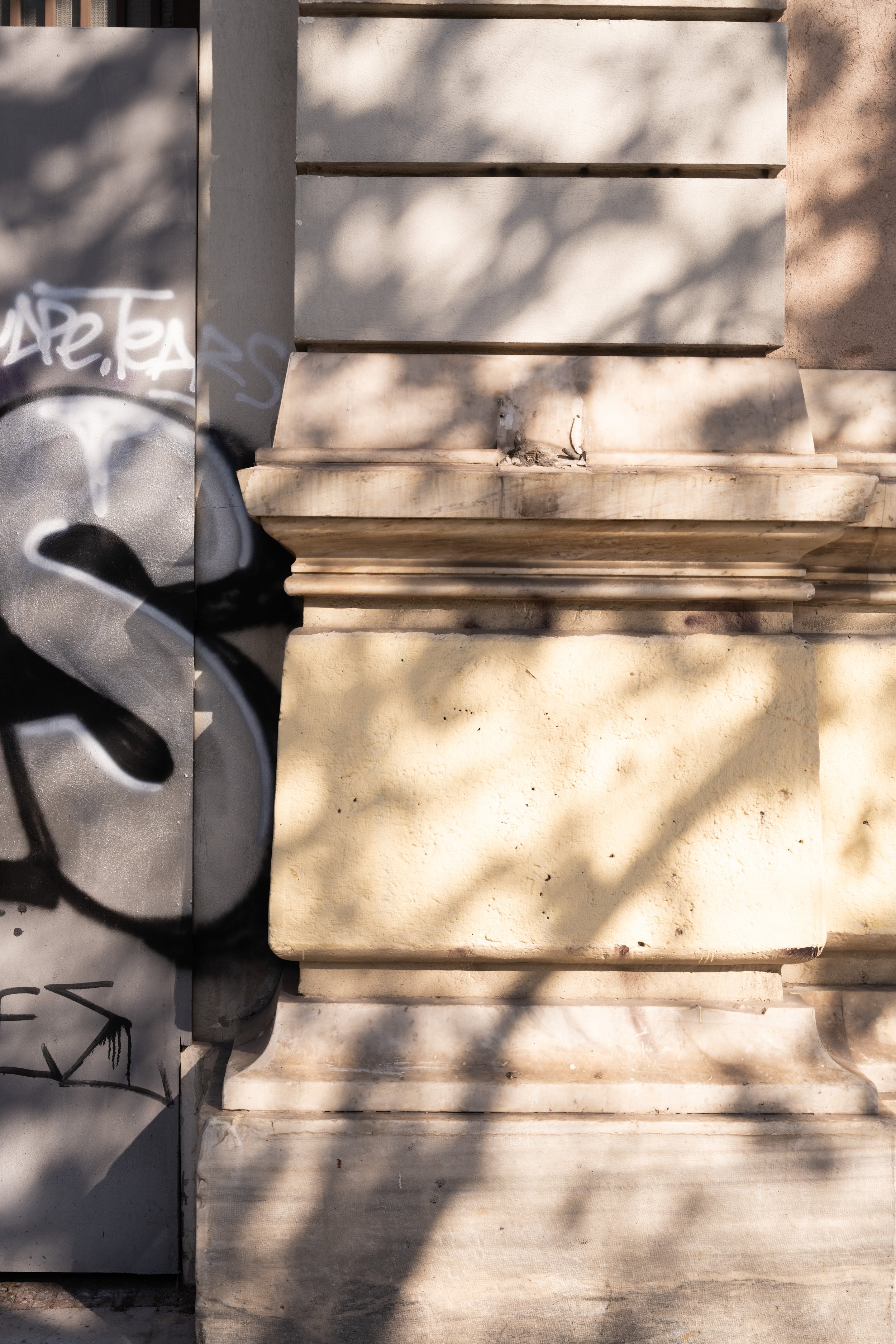 shadows photo backdrop.jpg