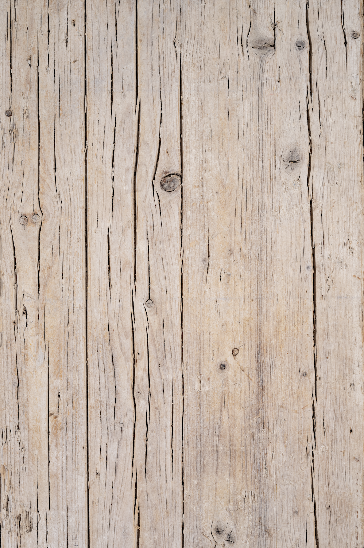 Kitchen Table backdrop.png