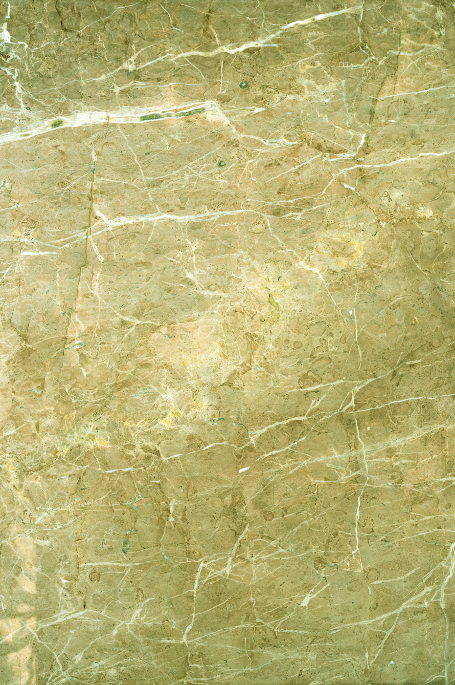 Olive marble backdrop.png