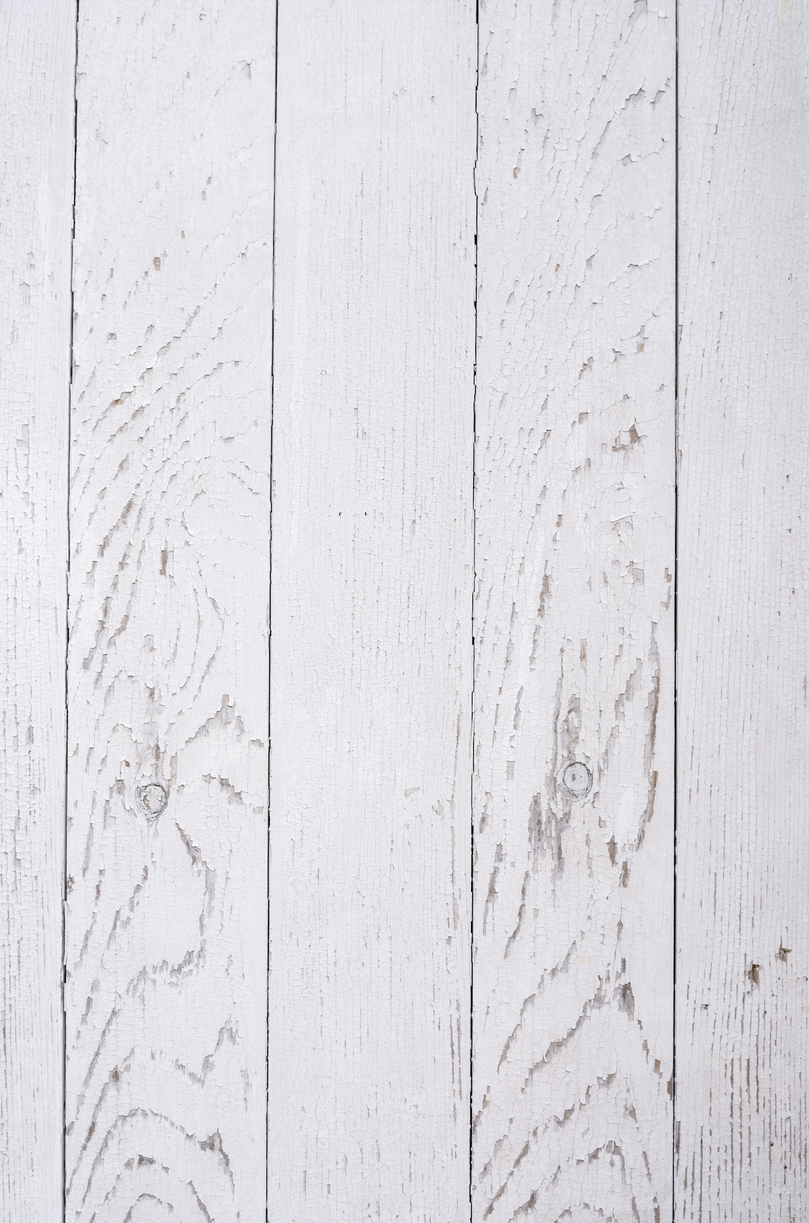 SAMPLE backdrop - Chippy Wood