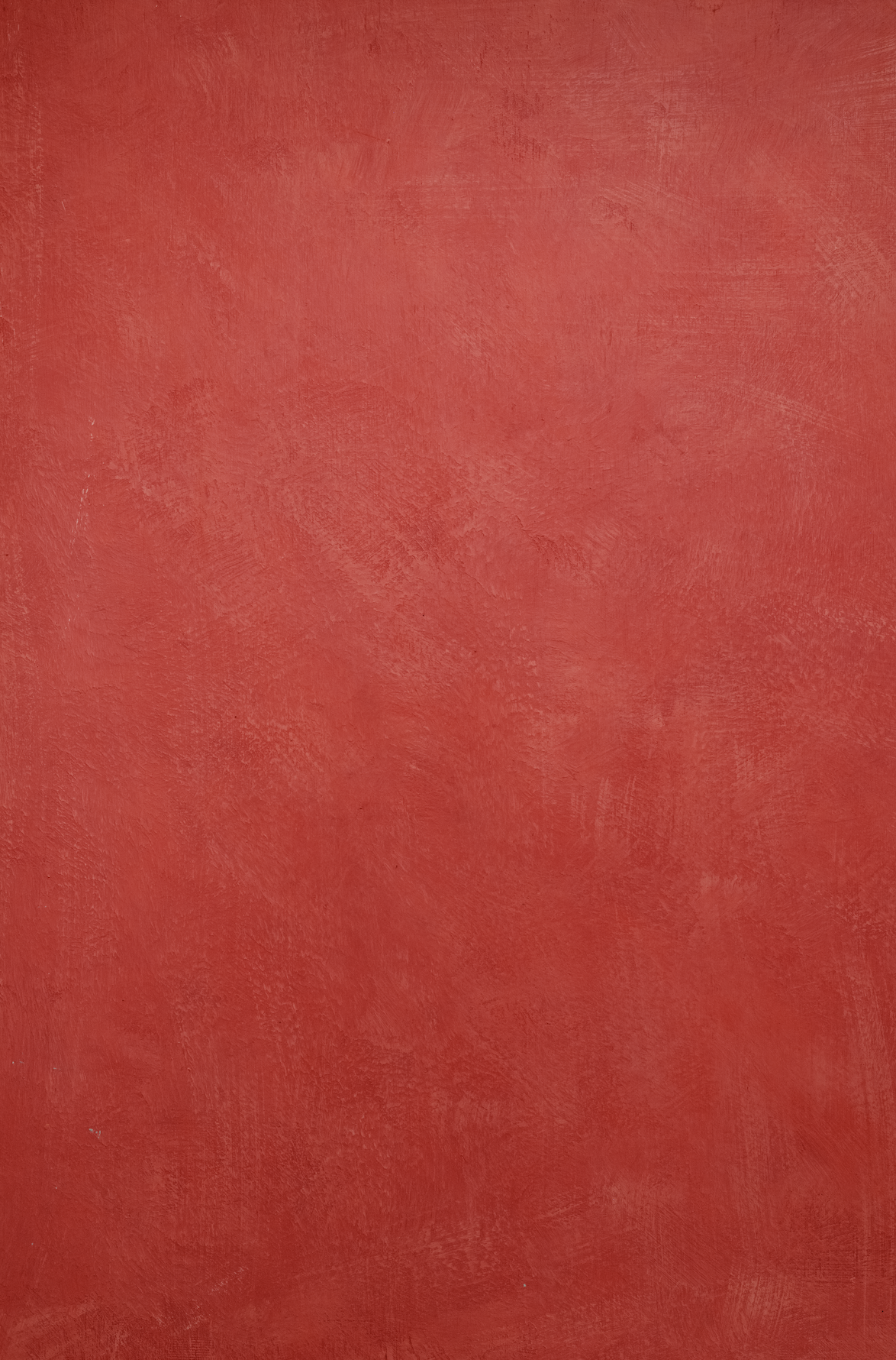 Sample Backdrop - Roast Tomato Red - 1 NEW IN!