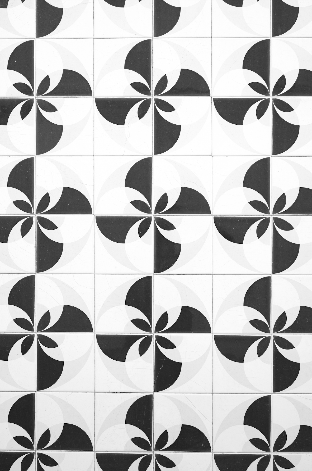 SAMPLE Backdrop - Monochrome Euler - 1 LEFT!