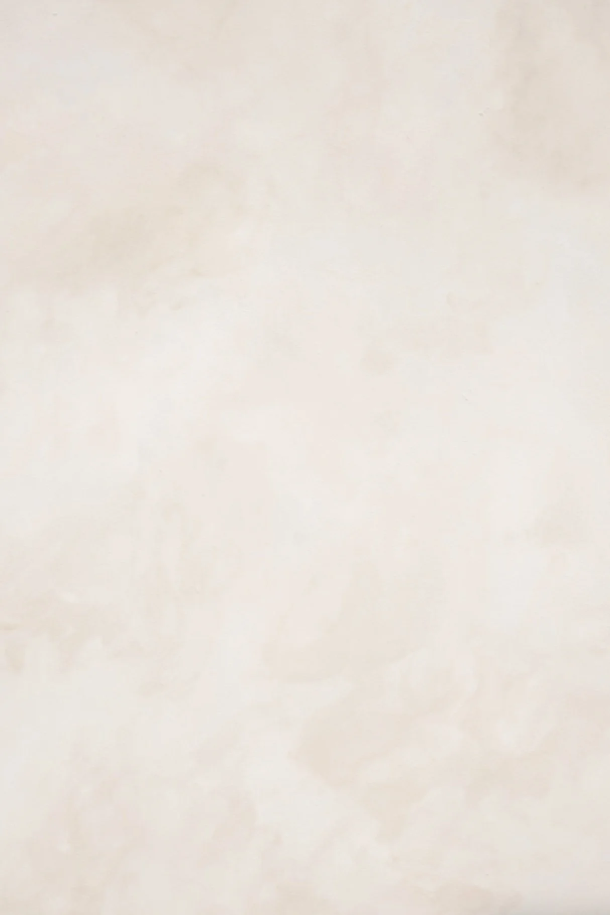 Beige%2Bbackdrop.jpg