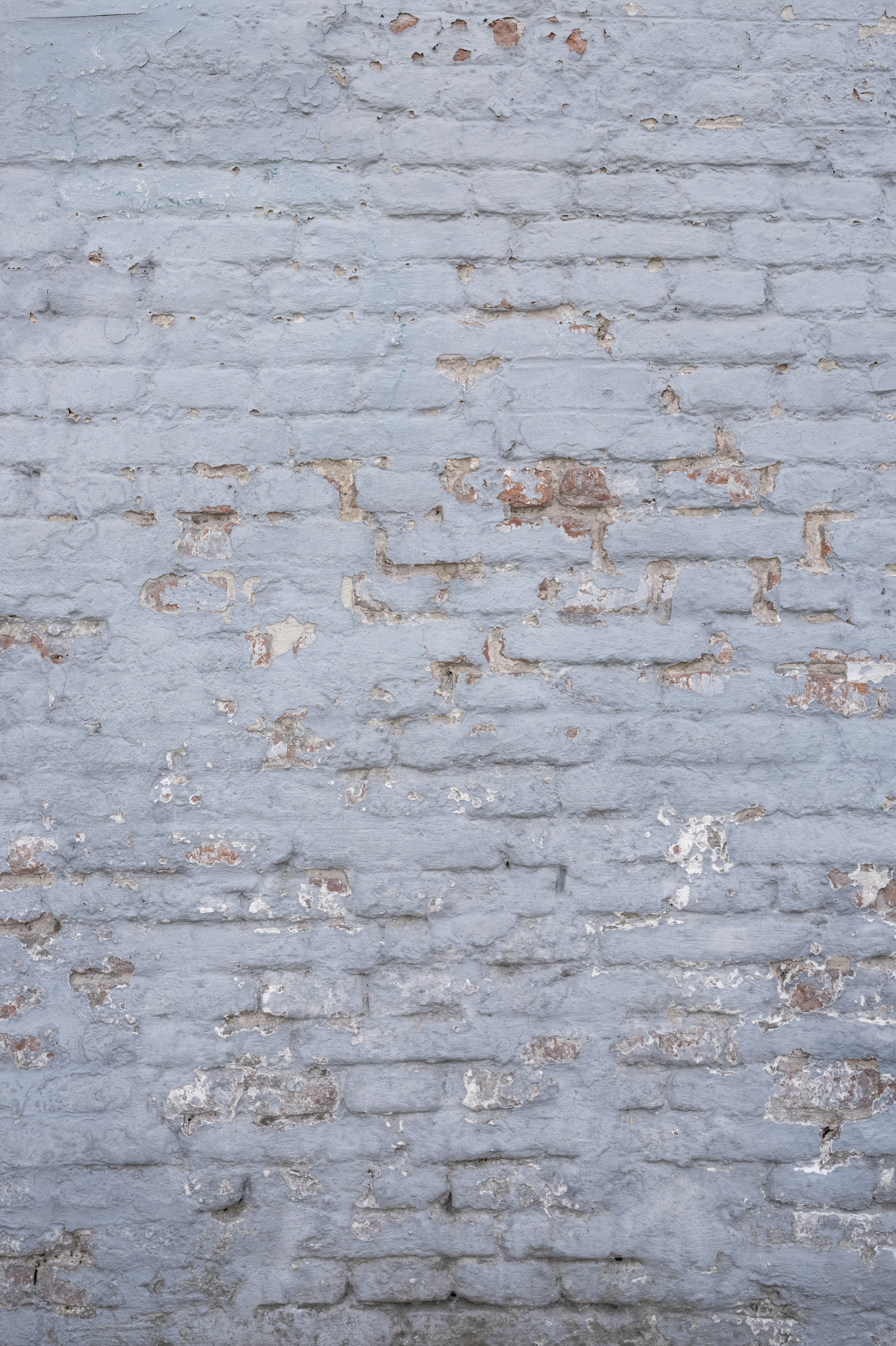 blue brick backdrp.png