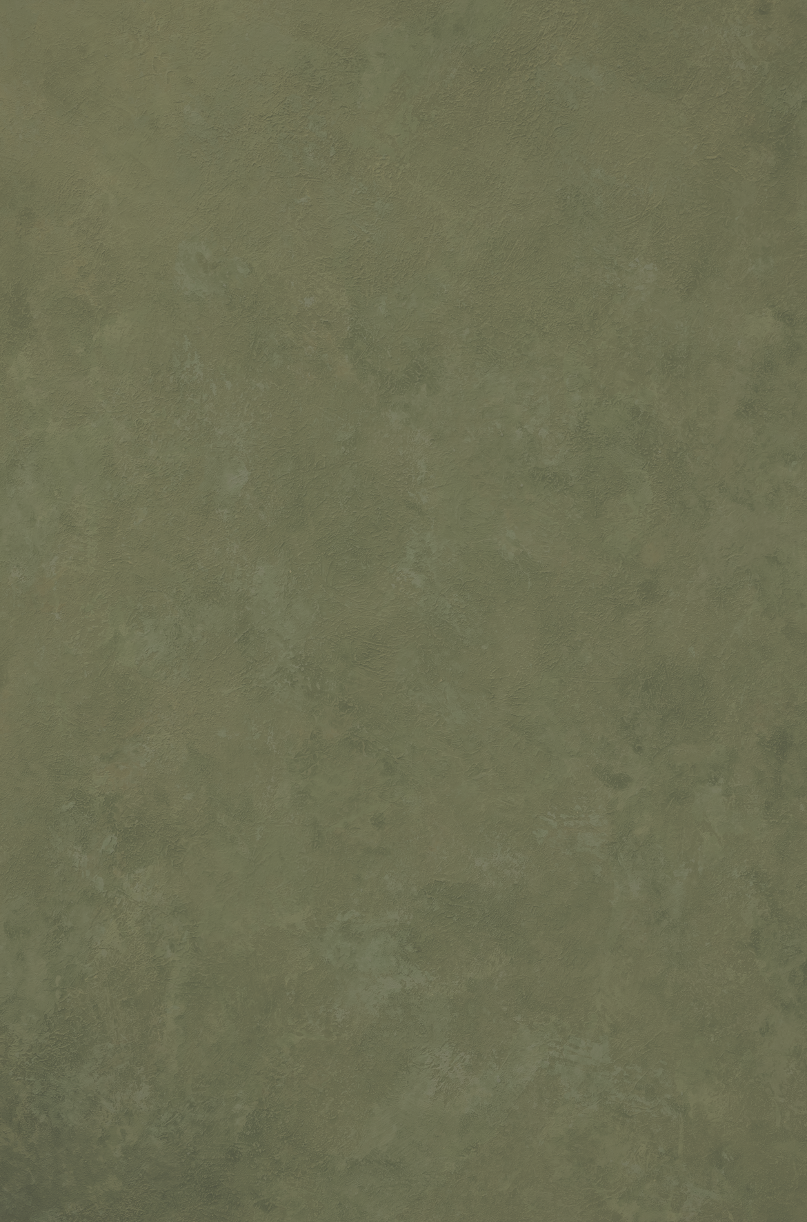Fern green photo backdrop.png