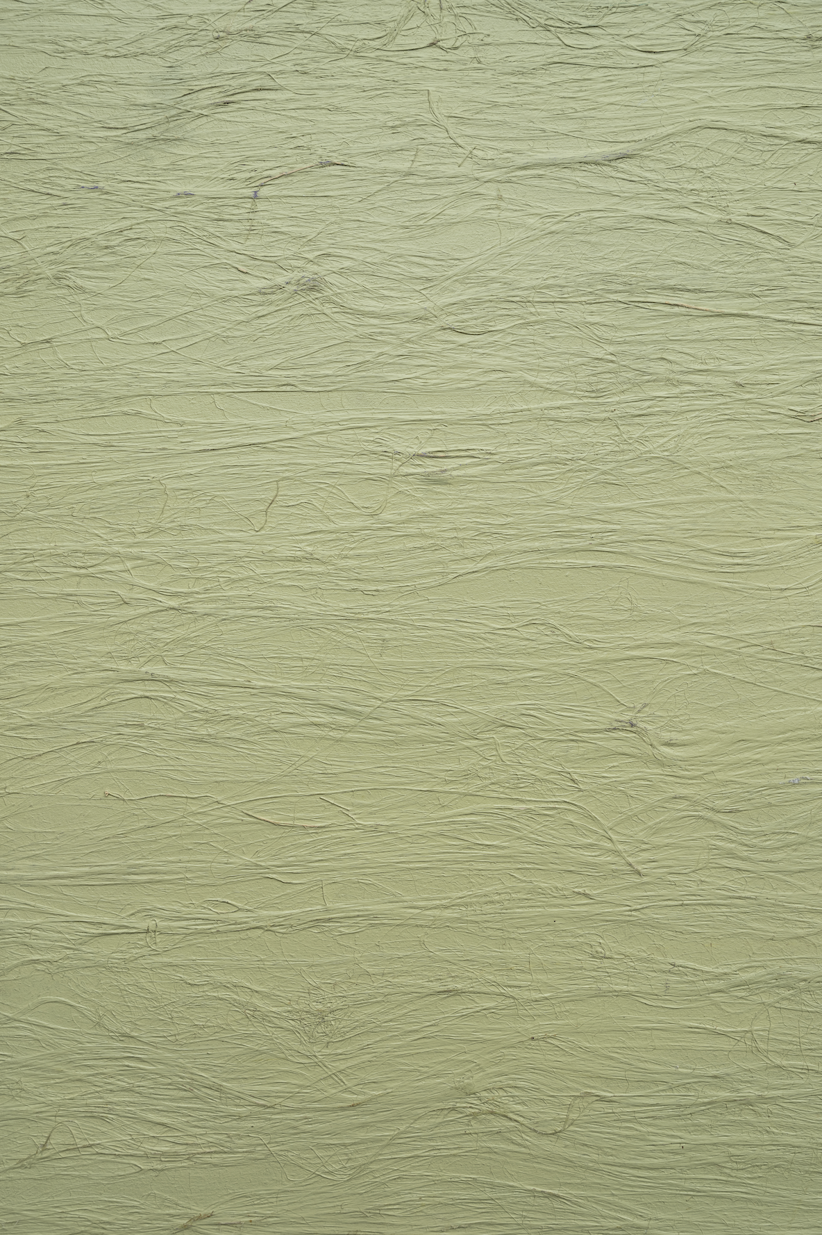 Textured green backdrop.png