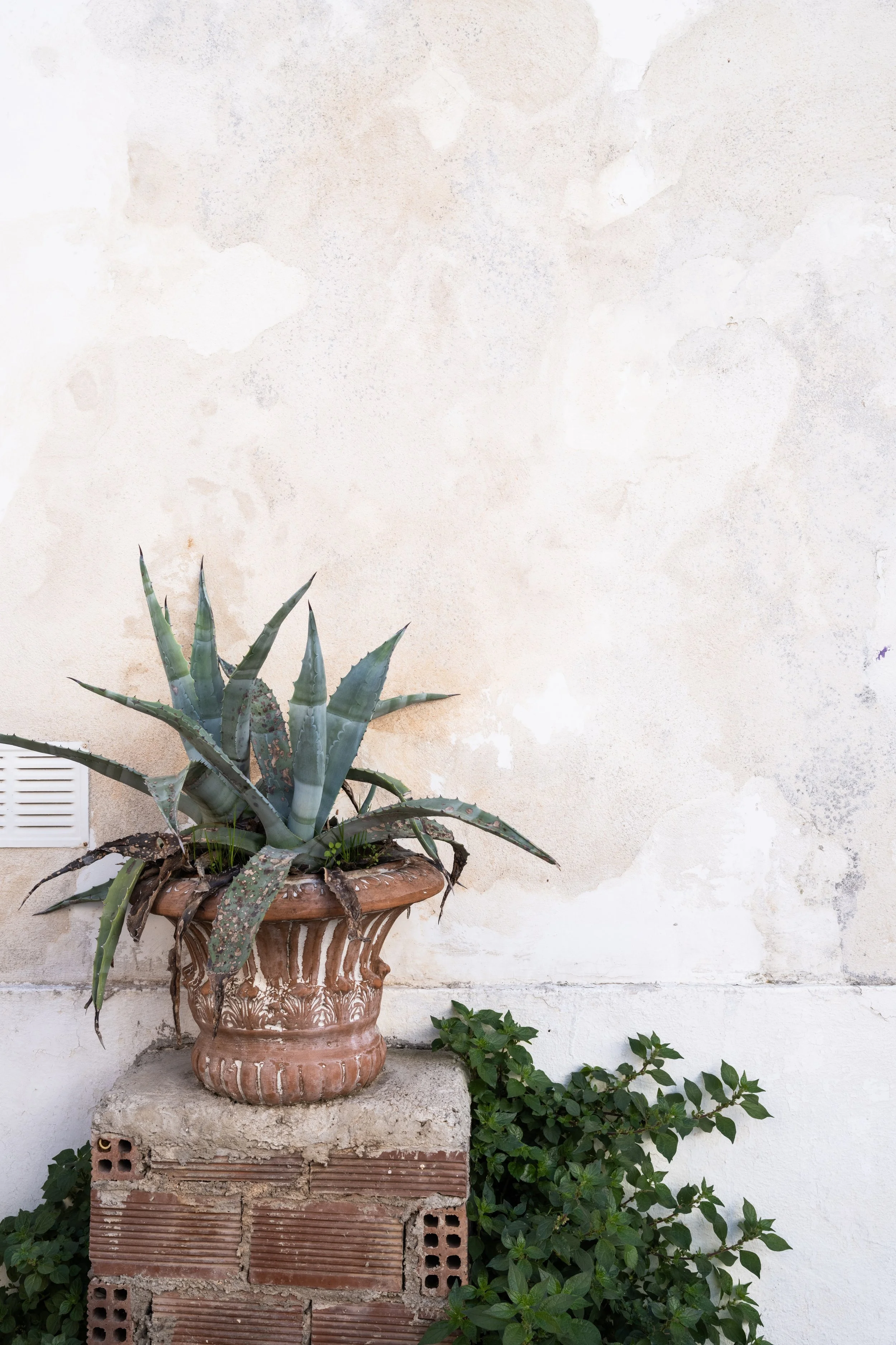 cream stone wall backdrop.jpg
