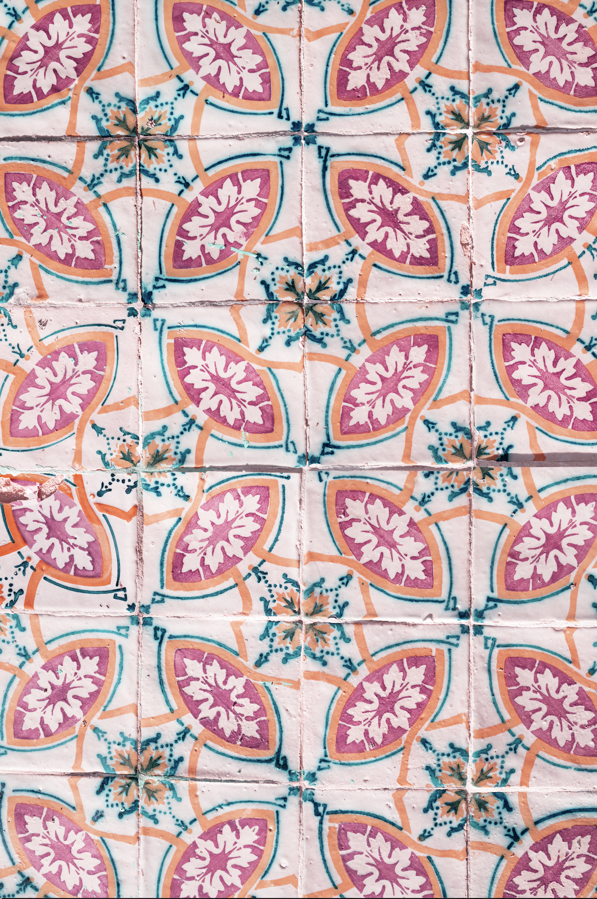 Peach and pink print backdrpo.png