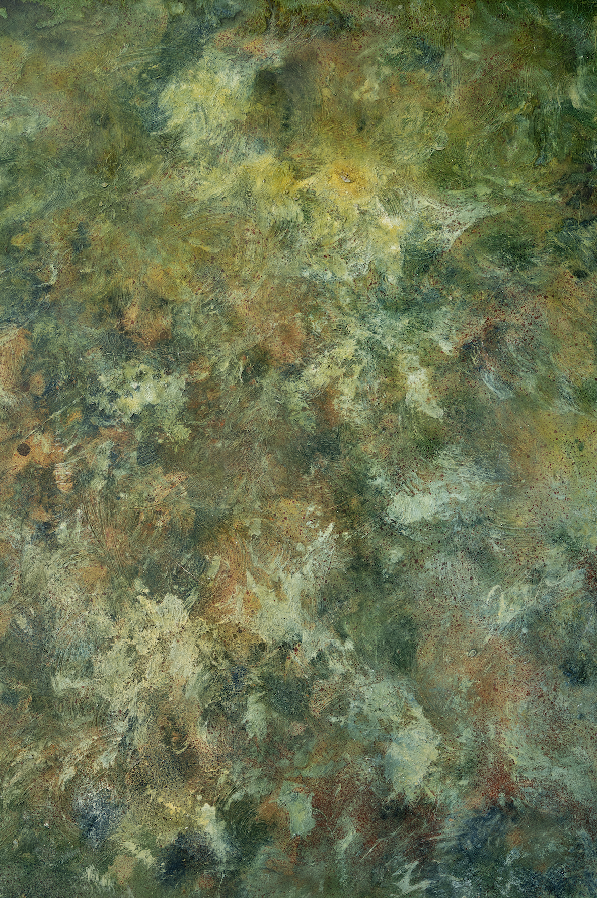 Green painted backdrop.png