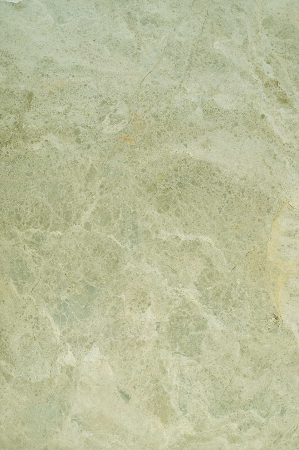 SAMPLE Backdrop - Seville Olive - 1 LEFT!